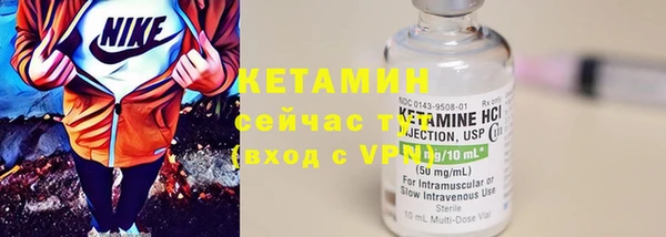 индика Нея