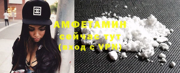 индика Нея