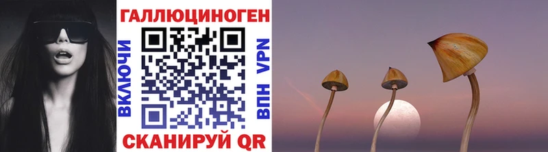Псилоцибиновые грибы MAGIC MUSHROOMS  закладки  Крымск 