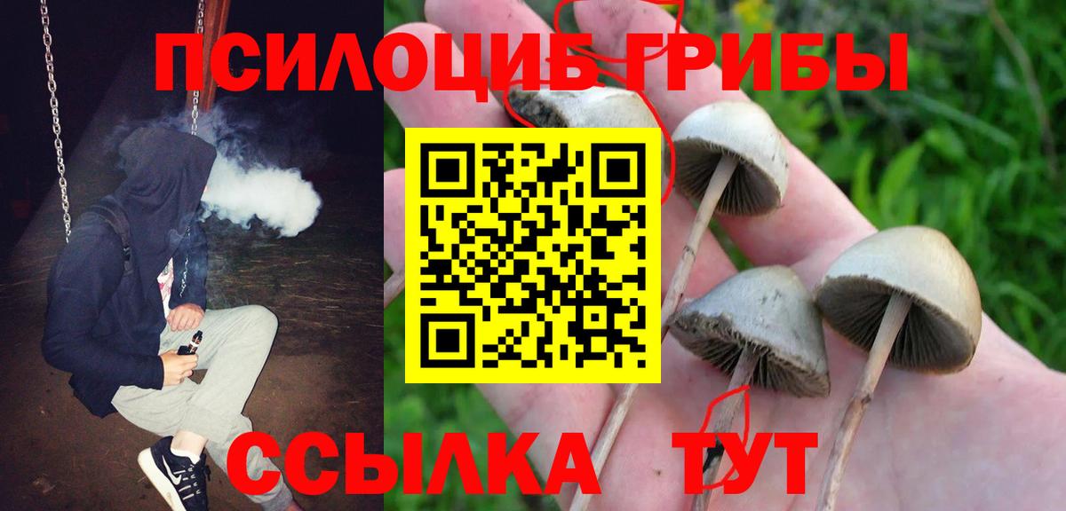 Галлюциногенные грибы Psilocybine cubensis  Вход с VPN  Крымск 